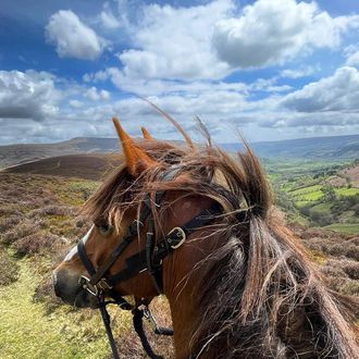 Photo from the Trans Wales Trails ride