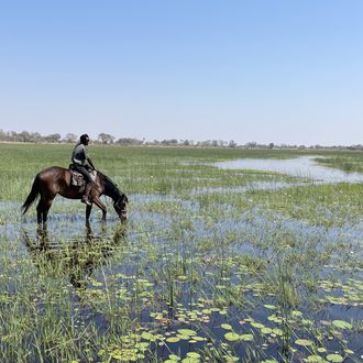 Photo from the Cha Cha Metsi with Ride Botswana ride