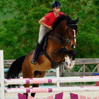 Photo from the Marche Showjumping Centre ride