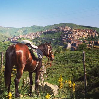 Photo from the Sicily Explorer ride