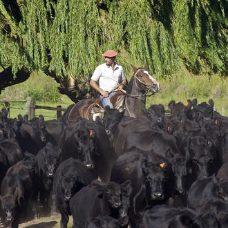 Photo from the Estancia Los Potreros ride