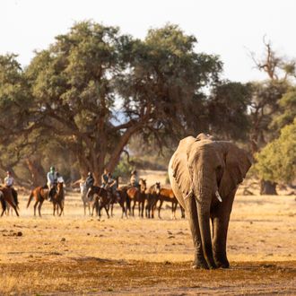 horse riding safari namibia