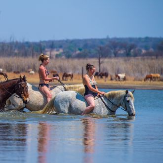 Photo from the Horizon Horseback Adventures and Safaris ride