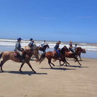 Photo from the Wildlands of the Criollos ride