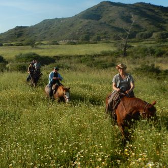 Photo from the South Rhodes Trails ride