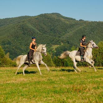 Photo from the Transylvania Trails (Equus Silvania) ride