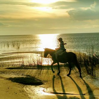 Photo from the Lagoa do Peixe National Park ride