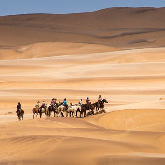 Photo from the Namibia Horse Safari Company ride