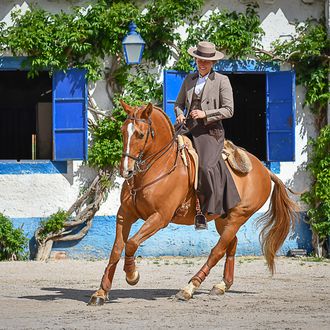 Photo from the Quinta dos Pinheiros ride