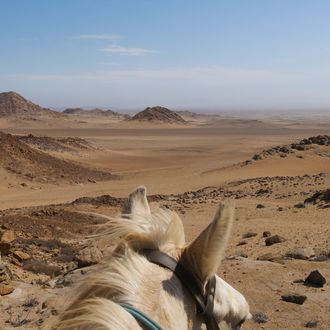 horse riding safari namibia