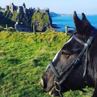 Photo from the Riding the Causeway Coast ride