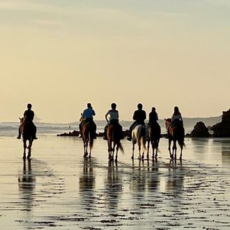 Photo from the Doñana National Park Trail ride