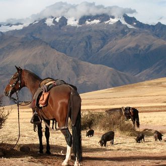 Photo from the Sacred Valley ride