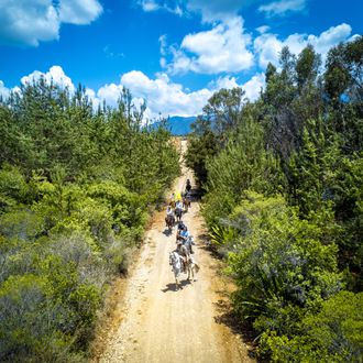 Photo from the Trails of Colombia ride