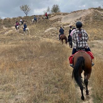 Photo from the Ancient Harran ride