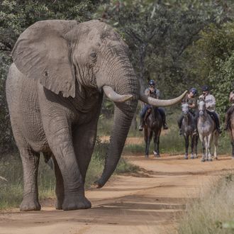 Photo from the Ant's River Lodge ride