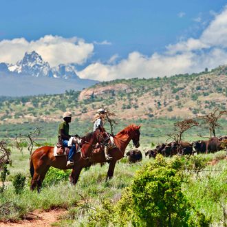 Photo from the Borana ride