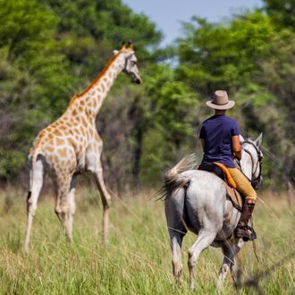 Photo from the Zambian Horseback Safaris ride