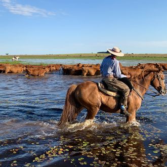 Photo from the Estancia Don Joaquin ride