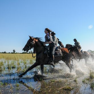 Photo from the African Horseback Safaris (Macatoo) ride