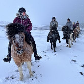 Photo from the Icelandic Short Breaks ride