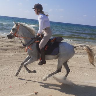 Photo from the Land of Galilee ride