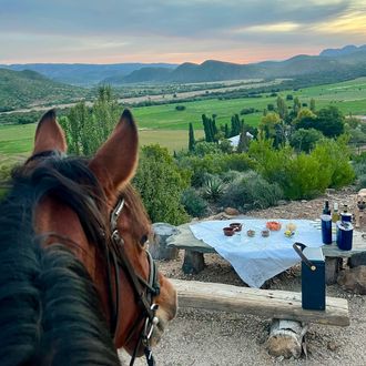 Photo from the Ride the Klein Karoo ride