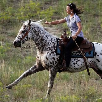 Photo from the Western Ranch  (El Bronco) ride