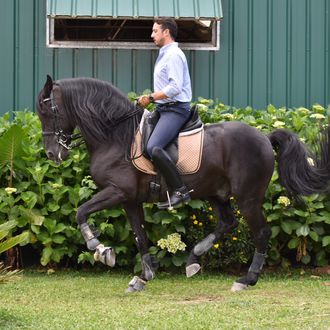 Photo from the Portugal Equestrian ride