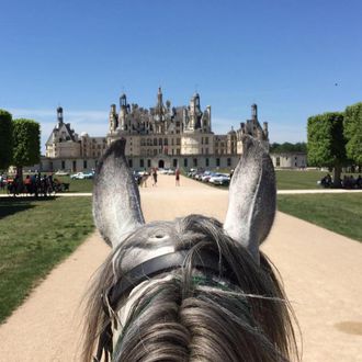 Photo from the Pays de la Loire ride