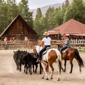 Photo from the Colorado Creek Ranch ride