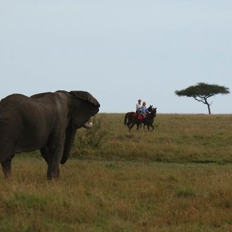 Photo from the Safaris Unlimited ride