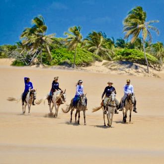 Photo from the Coconut Trail ride