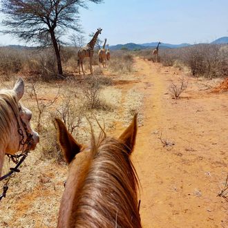 Photo from the Arabian Horse Safaris (Okapuka Horses) ride