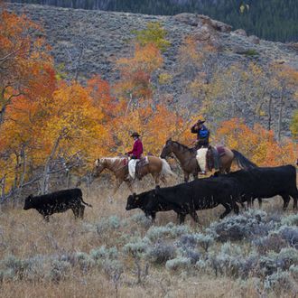 Photo from the Wyoming Lodge and Working Guest Ranch ride