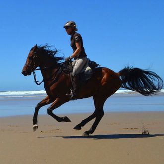 Photo from the Wild Coast Trails ride