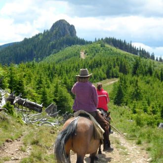 Photo from the Carpathian Mountain Trails ride
