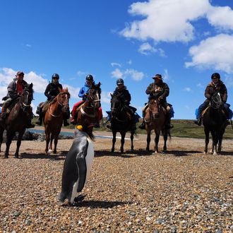 Photo from the Tierra del Fuego ride