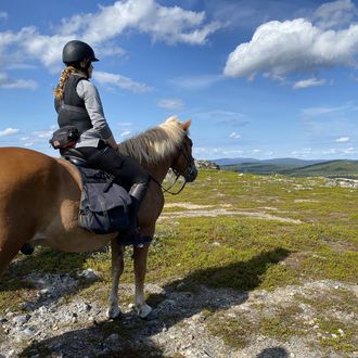 Photo from the Finnish Lapland Trails ride