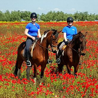 Photo from the Epona Dressage and Trails ride