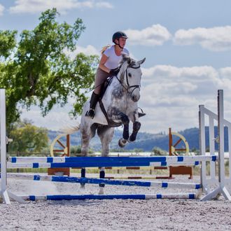 Photo from the Santarém Jumping & Dressage ride