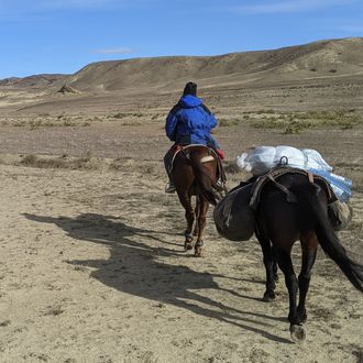 Photo from the Georgian Desert ride