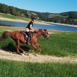 Photo from the Burgundy Morvan ride