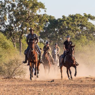 Photo from the Horizon Botswana ride