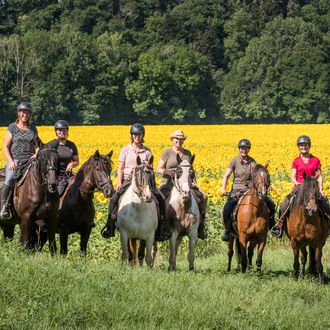 Photo from the Tarn Countryside Ranch ride